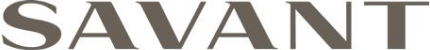 imgi_39_savant